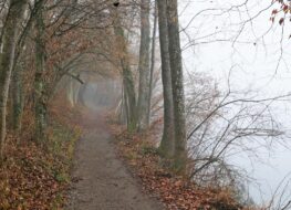 008 - nebel muss nicht farblos sein